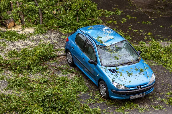 Budapest Hungría Junio 2020 Árbol Caído Coche Aparcado Las Afueras —  Fotos de Stock