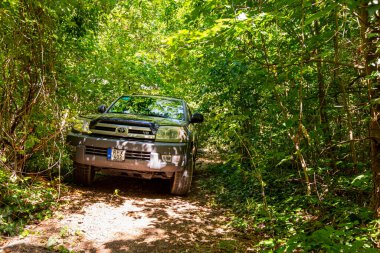 Macaristan Bakony dağ sırası 28 Haziran 2020: Toyota 4Runner SUV orman yolunda turneye çıktı.