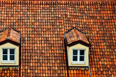 Trieste İtalya Yağmurda şehrin kırmızı çatısı.