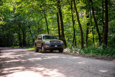 Macaristan Bakony dağ sırası 9 Temmuz 2020: Toyota 4Runner SUV orman yolunda turneye çıktı.
