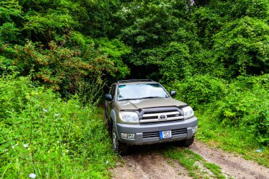 Macaristan Bakony dağ sırası 19 Temmuz 2020: Toyota 4Runner SUV orman yolunda turneye çıktı.