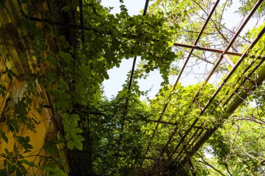 XIX 'in ortasından kalma harabeler içinde bir şato. Macaristan 'da, Balaton Gölü yakınlarında..