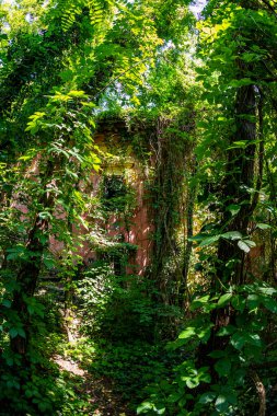 XIX 'in ortasından kalma harabeler içinde bir şato. Macaristan 'da, Balaton Gölü yakınlarında..