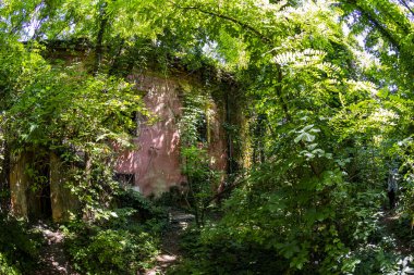 XIX 'in ortasından kalma harabeler içinde bir şato. Macaristan 'da, Balaton Gölü yakınlarında..