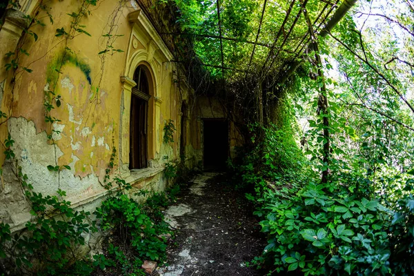 Chateau Ruins Mid Xix Century Hungary Lake Balaton — Stock Photo, Image