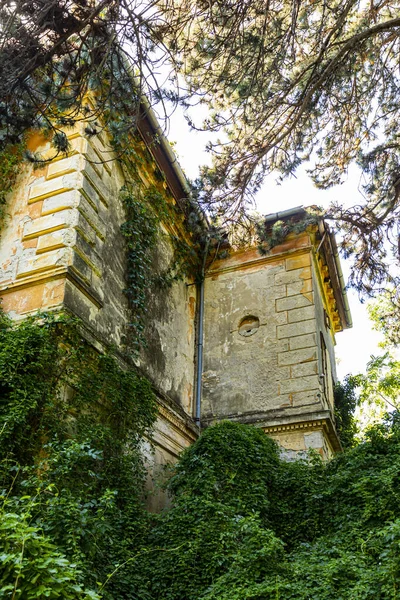 Château Ruines Milieu Xixe Siècle Siècle Hongrie Près Lac Balaton — Photo