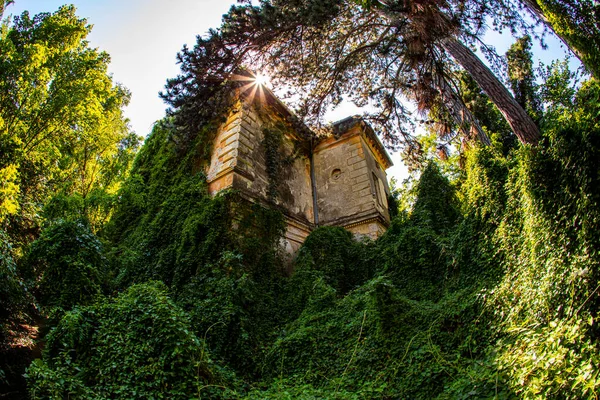 Zamek Ruinach Połowy Xix Wieku Wiek Węgrzech Pobliżu Jeziora Balaton — Zdjęcie stockowe