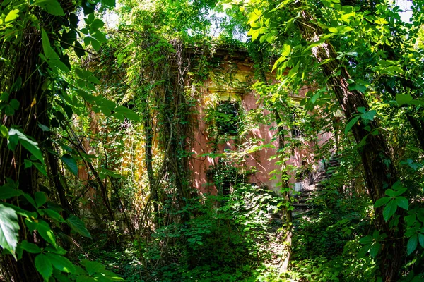 Schloss Ruinen Aus Der Mitte Des Jahrhunderts Jahrhundert Ungarn Plattensee — Stockfoto