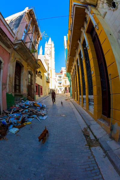 Havane Cuba Févr 2019 Vieux Paysage Urbain Havane Avec Les — Photo