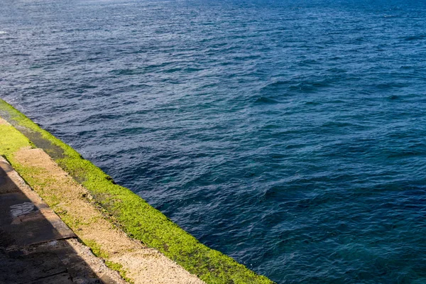 Yosun Kaplı Setin Görünümü — Stok fotoğraf