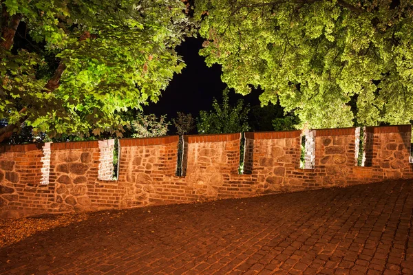 Mauerzinnen Und Beleuchtete Bäume Der Burg Bratislava Der Nacht Der — Stockfoto