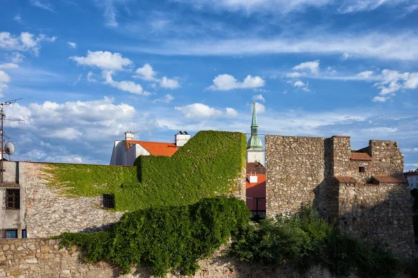 Fortificación Mural Con Plantas Hiedra Casco Antiguo Bratislava Eslovaquia Europa —  Fotos de Stock