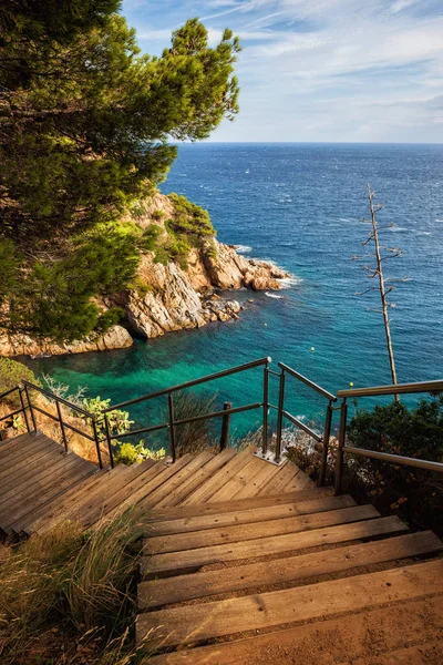 Escaliers Bois Vers Mer Sur Costa Brava Tossa Mar Catalogne — Photo