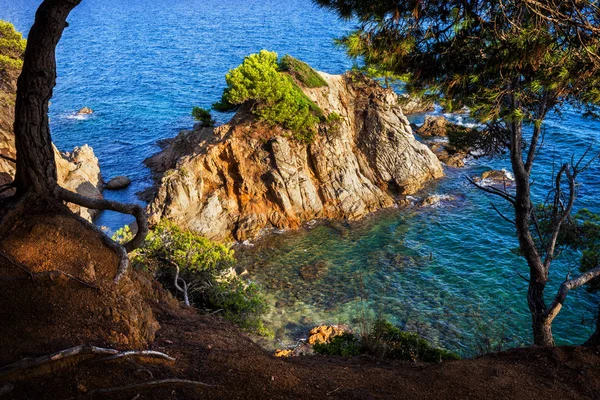 コスタブラバ カタルーニャ スペインの地中海の小さな湾と島の風光明媚な崖ビュー — ストック写真