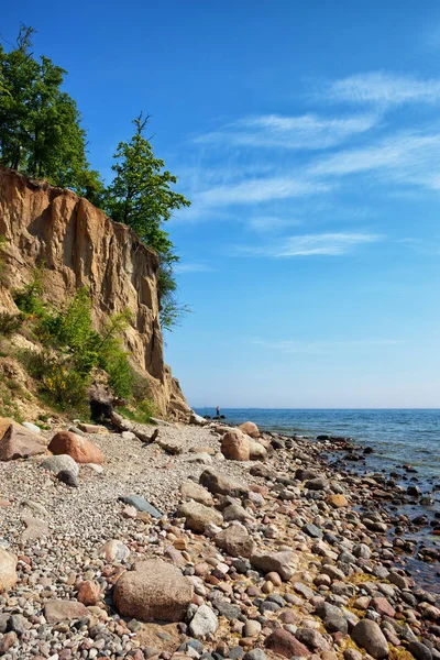 Orlowo Cliff Gdynia Shore Southern Baltic Sea Poland Europe — Stock Photo, Image