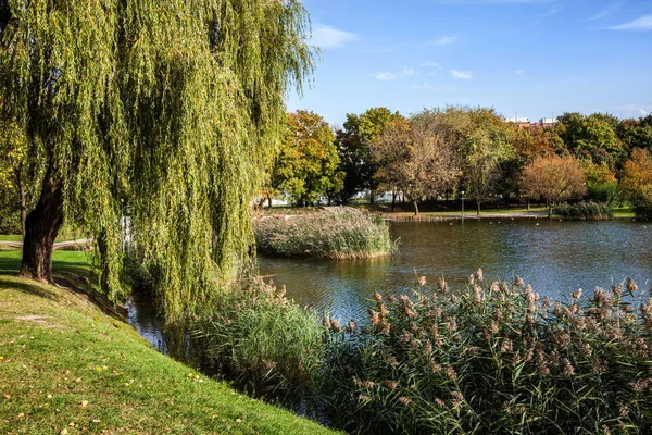 ポーランド ワルシャワ市の Szczesliwicki 公園の湖によって早い紅葉 — ストック写真