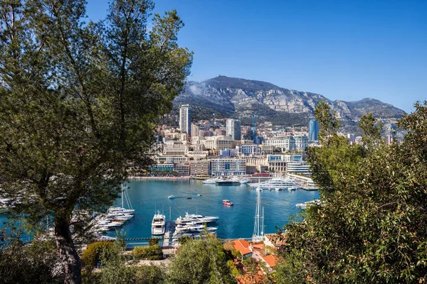 Monaco Fürstentum Monte Carlo Skyline Und Hafen Herkules Mittelmeer — Stockfoto