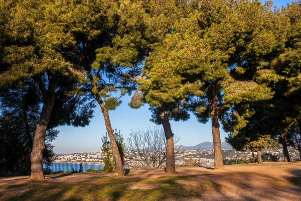 Frankrike Rivieran Trevlig Stad Träd Castle Hill Park Morgonen — Stockfoto