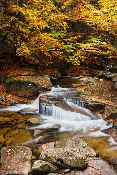 Corriente Bosque Mumlava Con Cascada Agua Paisaje Otoñal Las Montañas — Foto de Stock