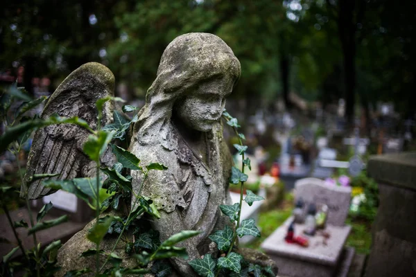 Múlt Század Régi Temető Krakkó Lengyelország Temető Tombstone Vintage Szobor — Stock Fotó