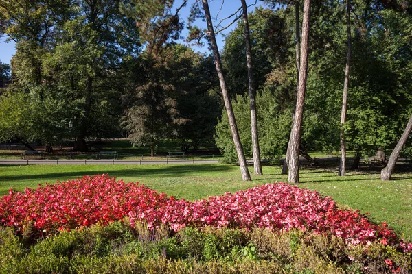 Krakow Polonya Şehir Parkında Planty Çiçekli Bahçe — Stok fotoğraf