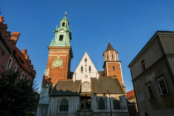 Wawel Royal Katedrali Stanislaus Wenceslaus Krakow Polonya — Stok fotoğraf