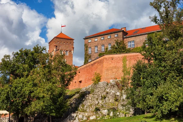 Castello Reale Wawel Roccia Calcarea Giurassica Cracovia Polonia Punto Riferimento — Foto Stock