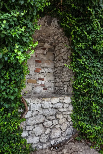神秘的空的小生境 周围是中世纪城堡石墙上的蠕动植物 — 图库照片