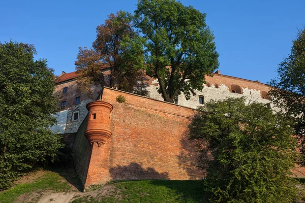 Wawel Kraliyet Kalesi Krakow Polonya — Stok fotoğraf