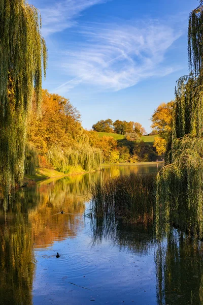 紅葉と ポーランドのワルシャワ市の Moczydlo 公園の池 — ストック写真