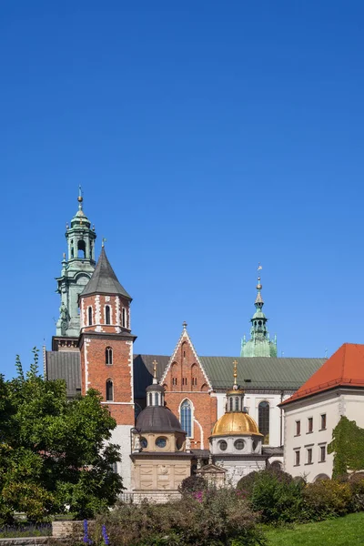 Catedral Wawel Cracóvia Polônia Composição Com Espaço Cópia Estilos Arquitetônicos — Fotografia de Stock