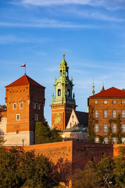 Wawel Kalesi Polonya Krakow Eski Şehir Şehir Katedrali — Stok fotoğraf