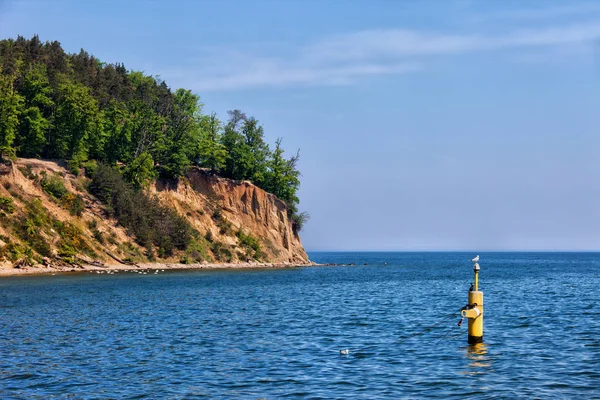 Orlowo Cliff Gdynia Baltic Sea Coastline Northern Poland Europe — Stock Photo, Image