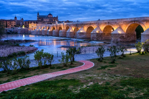 Spanya Cordoba Roma Köprüsü Puente Romano Guadalquivir Nehri Alacakaranlık Katedrali — Stok fotoğraf