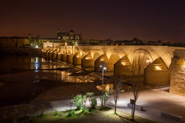Spanya Cordoba Roma Köprüsü Puente Romano Guadalquivir Nehri Gece Katedrali — Stok fotoğraf