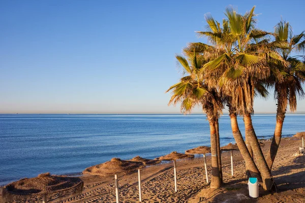 Strand Pálmákkal Tenger Costa Del Sol Marbella Resort Andalúzia Spanyolország — Stock Fotó