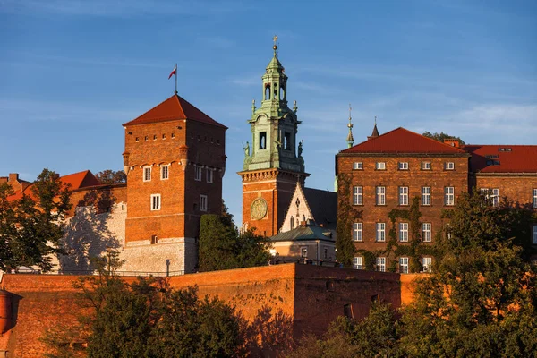 Castello di Wawel e torre della cattedrale di Cracovia — Foto Stock