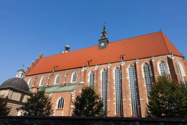 Corpus Christi basiliek in Krakau — Stockfoto