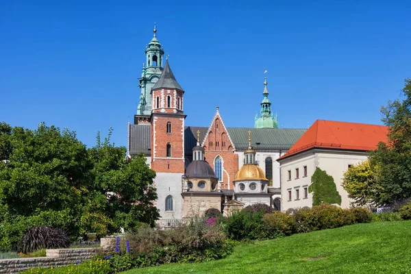 Polonya'da Krakow Katedrali — Stok fotoğraf