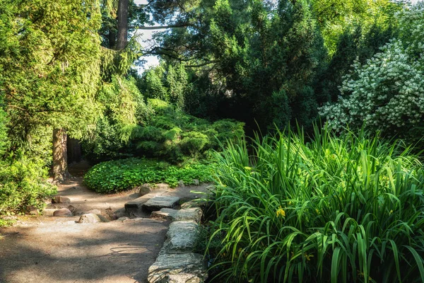 Lazienki Park i Warszawa — Stockfoto