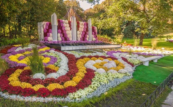 Ukraina Kiev Okt 2018 Oktober 2018 Spivoche Pole Utställning Blommor — Stockfoto