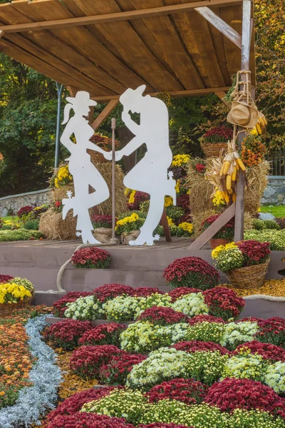 Ukraine Kyiv Oct 2018 October 2018 Spivoche Pole Exhibition Flowers — Stock Photo, Image