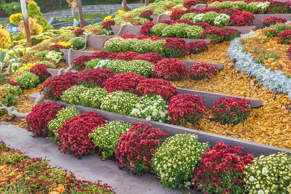 UKRAINE, KYIV-6 Oct 2018:5-28 October 2018 on Spivoche Pole, an exhibition of flowers "Musical" for design uses 25 000 chrysanthemums in Kiev, Ukraine. — Stock Image Ukraine Kyiv Oct 2018 October 2018 Spivoche Pole Exhibition Flowers Royalty Free Stock Images