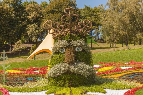 Kyiv Ukraine Aug 2018 Ağustos Spivoche Pole Çiçek Sergisinde Sihirli — Stok fotoğraf