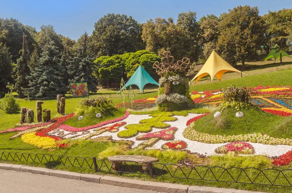 Kyiv Ukraine Aug 2018 Aug Sep Spivoche Pole Flower Exhibition — Stock Photo, Image