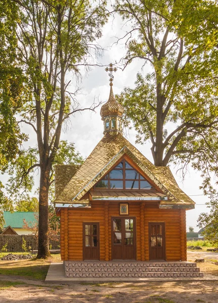 Свитияз Волынская Область Украина Ауг 2018 Петропавловский Монастырь Украинской Православной — стоковое фото