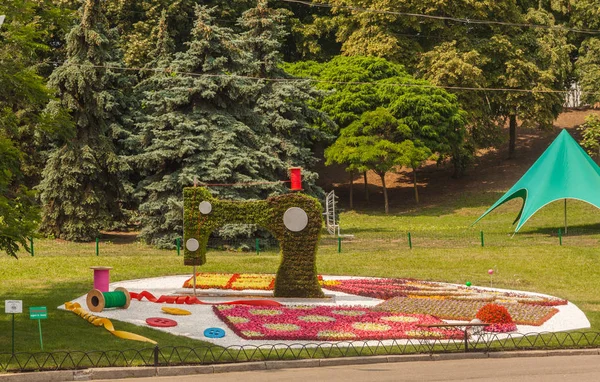 キエフ ウクライナ 2018 2018 Spivoche 季節の花展キエフ ウクライナの 世界の巨人 — ストック写真