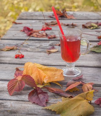 Sonbahar şarabı dökülen yapraklarla birlikte eski ahşap masaya koydu.