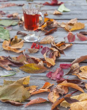 Yapraklar masada ve bardaklar sonbahar günü sıcak şarapla birlikte.