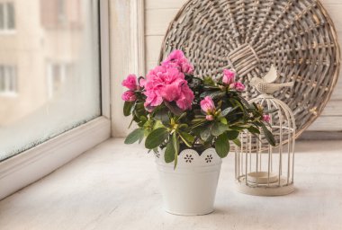Klasik kapta pembe açelyalar ve camda dekoratif kafesler.